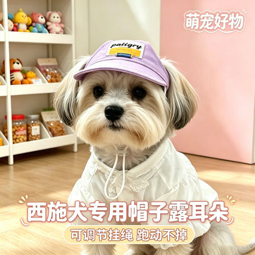 西施犬专用狗狗帽子小狗宠物狗露耳朵遮阳帽小型犬夏天防晒太阳帽