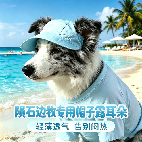 陨石边牧专用狗狗帽子小狗宠物狗露耳朵遮阳帽大型犬帽防晒太阳帽