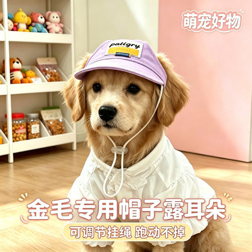 金毛专用幼犬狗狗帽子小狗宠物狗露耳朵遮阳帽大型犬太阳帽棒球帽