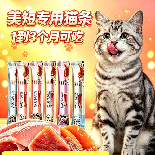 美短专用猫咪猫条幼猫1到3月补充营养小猫吃零食两个月猫宠物长肉