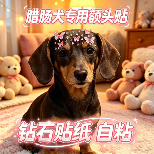 腊肠犬专用狗狗额头贴小型犬配饰狗宠物贴纸狗狗头饰蝴蝶头上饰品