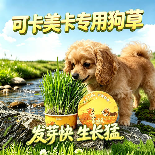 可卡美卡专用狗草狗狗吃的草小狗零食宠物盆栽大型犬排毛食用草