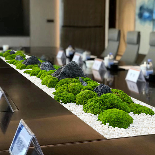 长桌微景观摆件长形中间装饰仿真苔藓摆花植物玄关会议桌造景摆设
