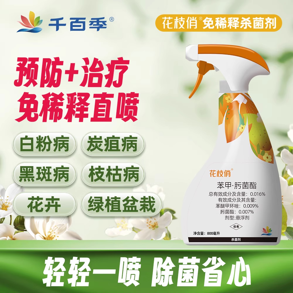 千百季苯甲肟菌酯花枝俏直喷杀菌
