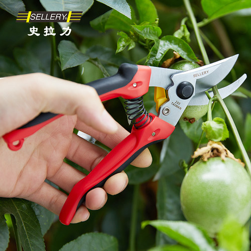 台湾史拉力枝剪绿化私家庭院别墅园艺果树盆景桩头花椒树修枝剪刀