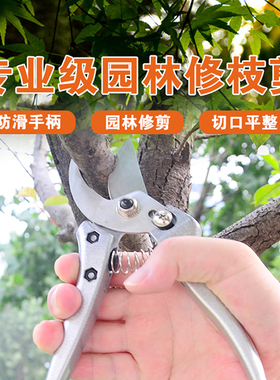 台湾XBK修枝剪刀园林绿化私家庭院别墅园艺果树盆景桩头花椒剪刀