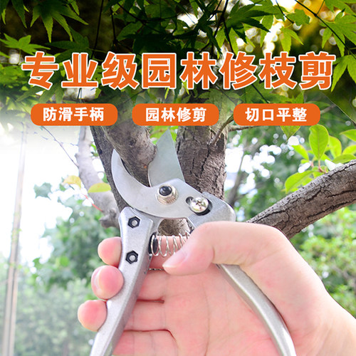 台湾XBK修枝剪刀园林绿化私家庭院别墅园艺果树盆景桩头花椒剪刀