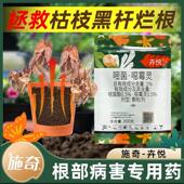 施奇卉悦噁恶霉灵非花卉月季 多肉专用黑腐病根腐病枯萎茎基腐家用