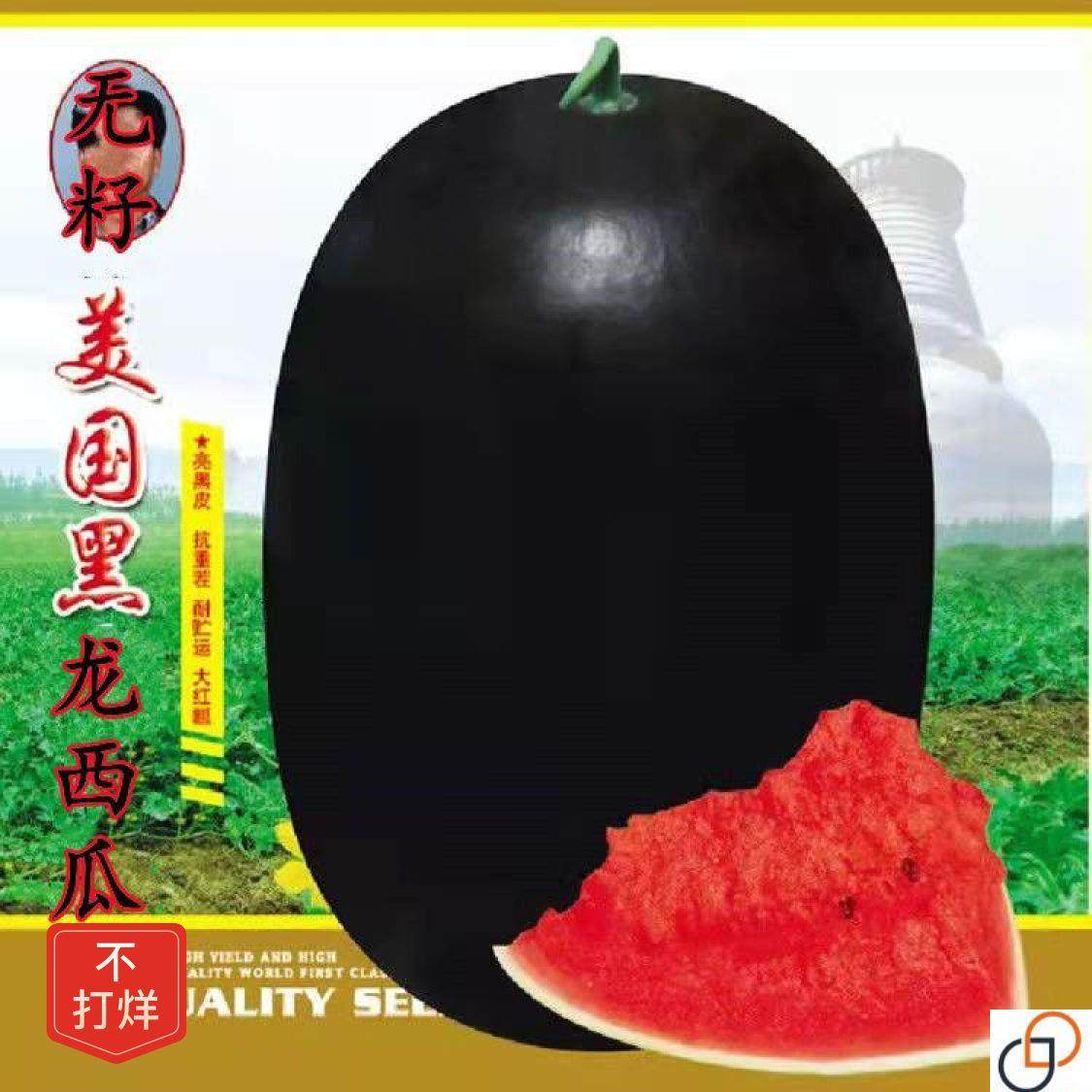 无籽黑龙西瓜种子特大高产甜早熟薄皮四季播水果黑皮巨型西瓜种子,鲜花速递/花卉仿真/绿植园艺,家庭园艺种子,淘宝优惠券,粉丝福利购,淘宝优惠卷