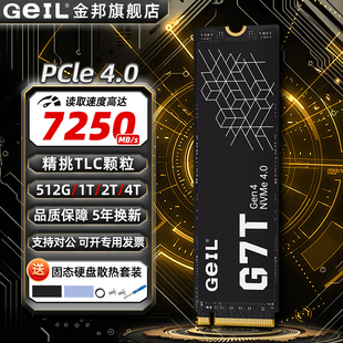 电脑SSD笔记本PCie4 1t台式 GEIL金邦G7T固态硬盘TLC颗粒4t