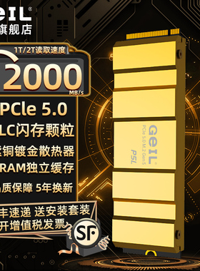 Geil金邦PC5.0L固态硬盘TLC颗粒PC5.0台式机SSD1t 2t电脑电竞游戏