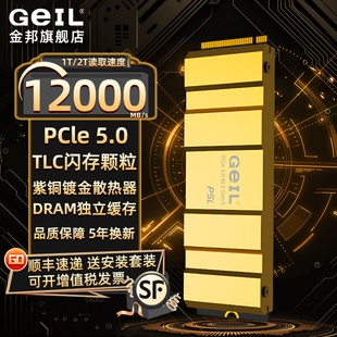 Geil金邦PC5.0L固态硬盘TLC颗粒PC5.0台式 2t电脑电竞游戏 机SSD1t