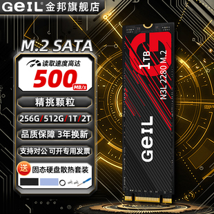SATA协议电脑1T笔记本SSD M.2 GeIL金邦N3L固态512G硬盘NGFF 2280