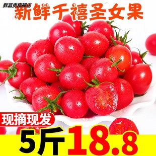 圣女果千禧小蔬菜5斤新鲜当季 生吃番茄自然熟西红柿孕妇水果蔬菜