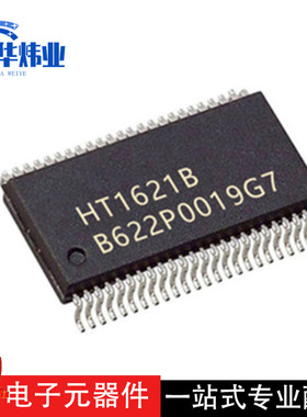 全新原装现货 HT1621B 封装：SSOP-48 LCD驱动器 液晶芯片 HT1621