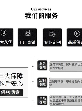 BL2838 微型直流无刷减速电机 12V24V内置驱动 385无刷小马达电机