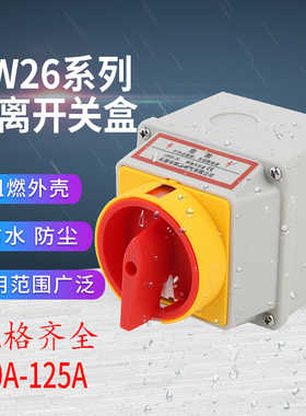 SFD11负荷隔离开关盒户外防水密封LW42旋转电源切断LW26转换开关