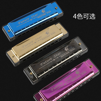 跨境十孔布鲁斯口琴赠塑料盒子ABS初学入门四色口琴10孔blues口琴