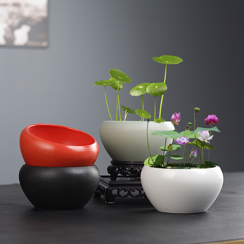 铜钱草水养绿萝桌面水培办公室陶瓷花瓶微型碗莲花盆无孔专用器皿