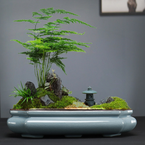 哥窑紫砂盆新中式造景大口径花盆