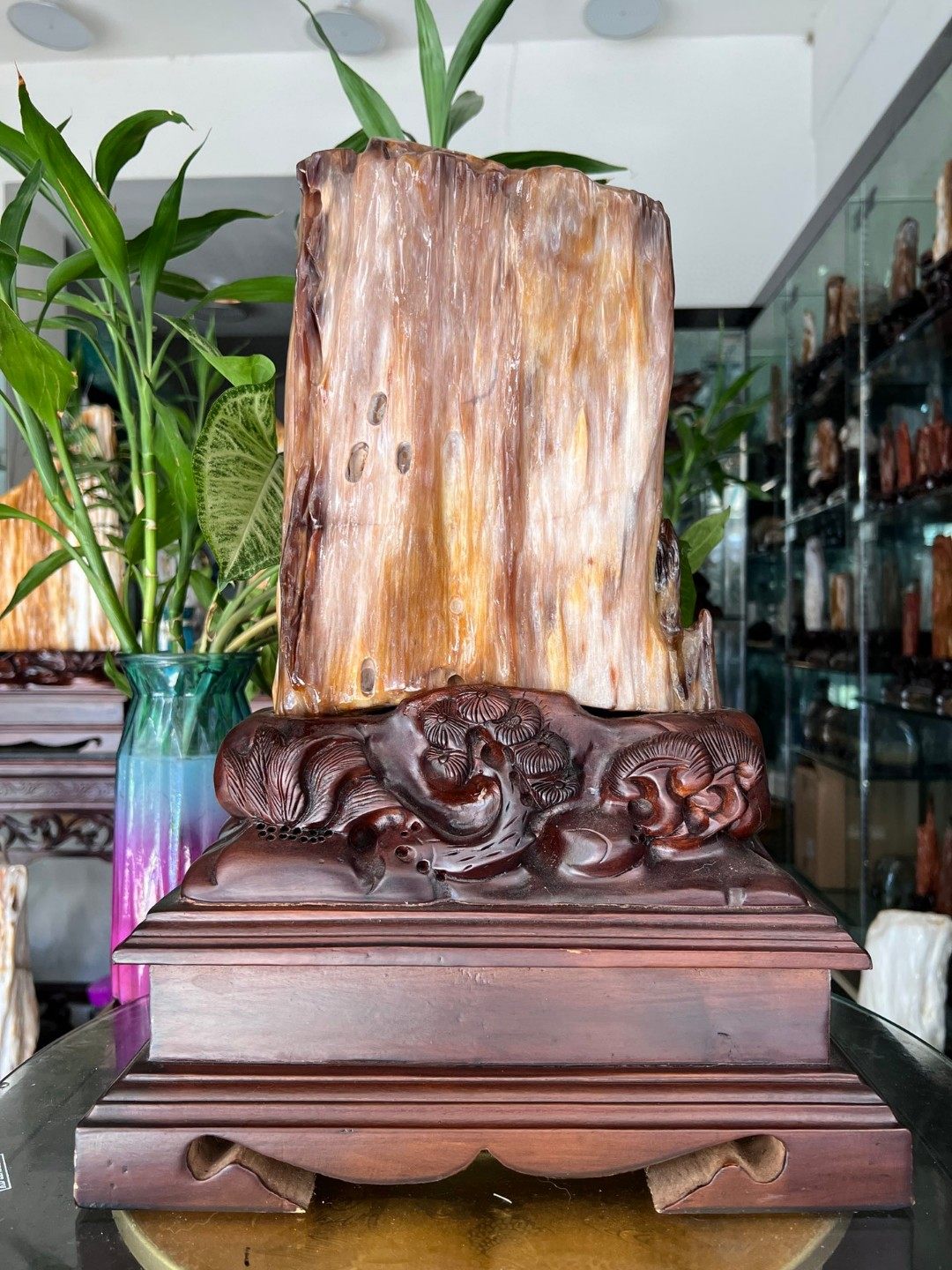 树化玉硅化木摆件冰种木化石128804客厅木化玉缅甸树化石客厅奇石