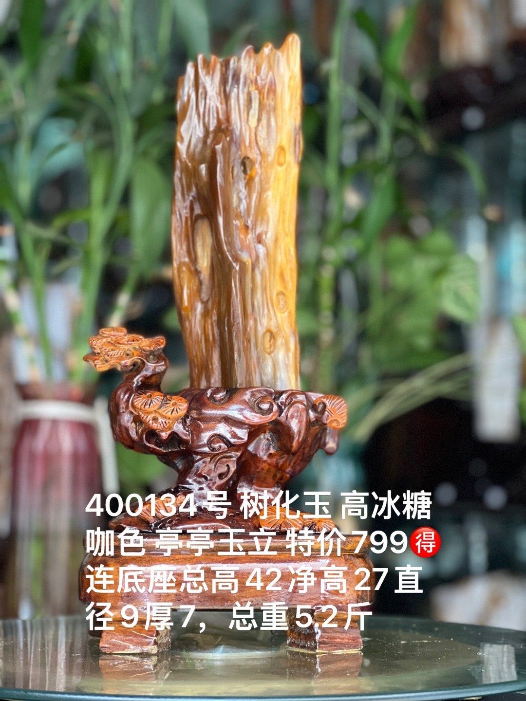 树化玉硅化木摆件冰种木化石400134客厅木化玉缅甸树化石客厅奇石