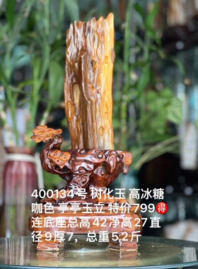 树化玉硅化木摆件冰种木化石400134客厅木化玉缅甸树化石客厅奇石