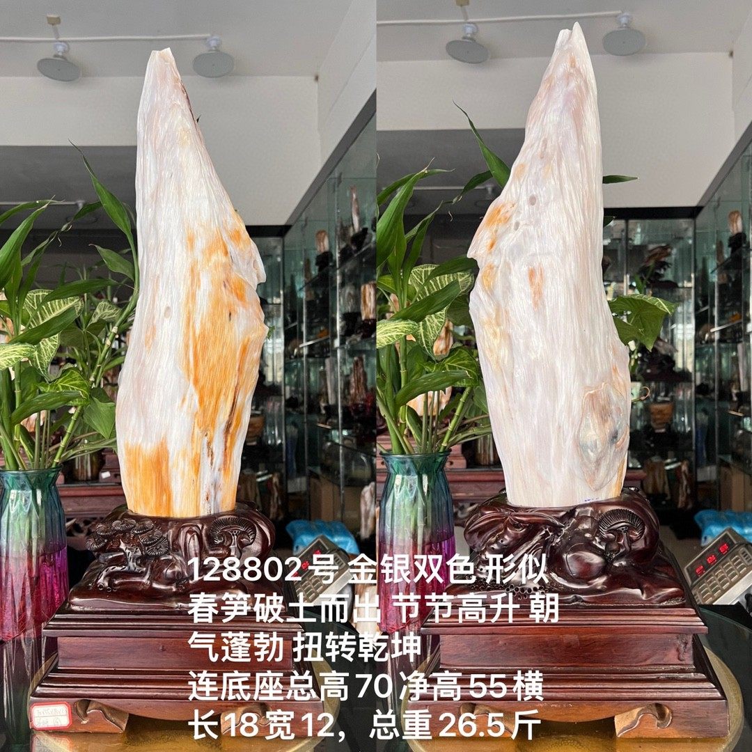 树化玉硅化木摆件冰种木化石128802客厅木化玉缅甸树化石客厅奇石