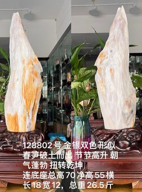 树化玉硅化木摆件冰种木化石128802客厅木化玉缅甸树化石客厅奇石