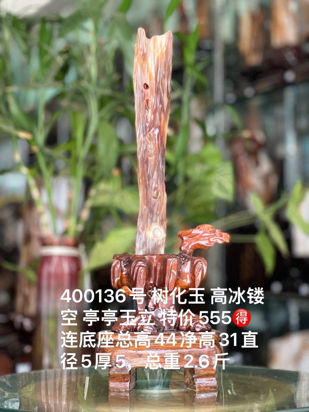 树化玉硅化木摆件冰种木化石400136客厅木化玉缅甸树化石客厅奇石