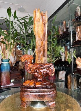 树化玉硅化木摆件冰种木化石400135客厅木化玉缅甸树化石客厅奇石