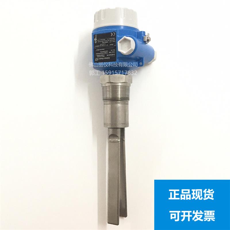 E+H 音叉料位计 FTM50-AGG2A4A32AA恩德斯豪斯FTM20 FTL31 FT询价