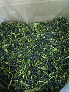 【抽湿绿衣仙子】高清香型潮州凤凰单丛特级高山乌岽单枞茶叶500g