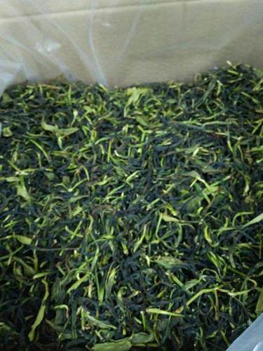 【抽湿茶绿衣仙子】特级凤凰单丛