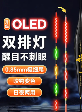 双排LED夜光漂咬钩变色日夜两用硬尾高灵敏鲫鲤鱼电子漂夜钓浮漂