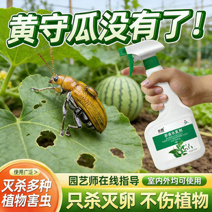 黄守瓜红蜘蛛白粉虱专用药杀虫剂杀治灭预防一体菜园果树防虫神器