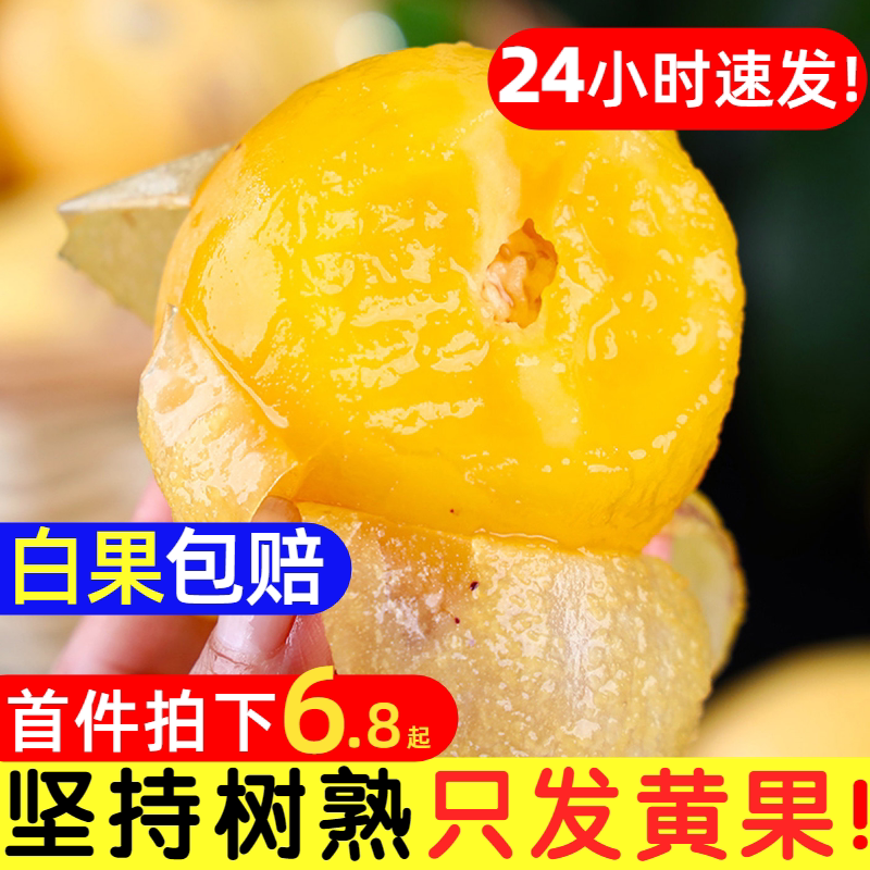 云南人参果水果树熟圆果黄肉大果新鲜石林人叁果新鲜现摘整箱包邮