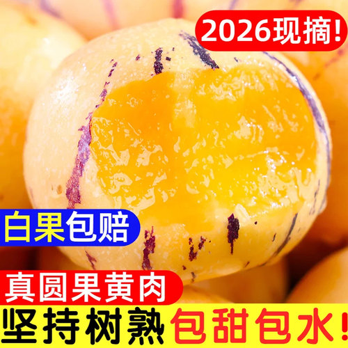白果赔！云南人参果水果黄肉大果