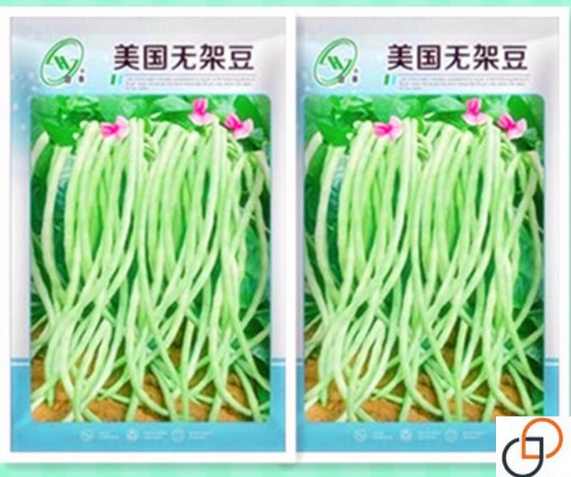 地豆种籽美国无架豆种子豇豆长豆角无筋四季豆高产四季庭院蔬菜籽