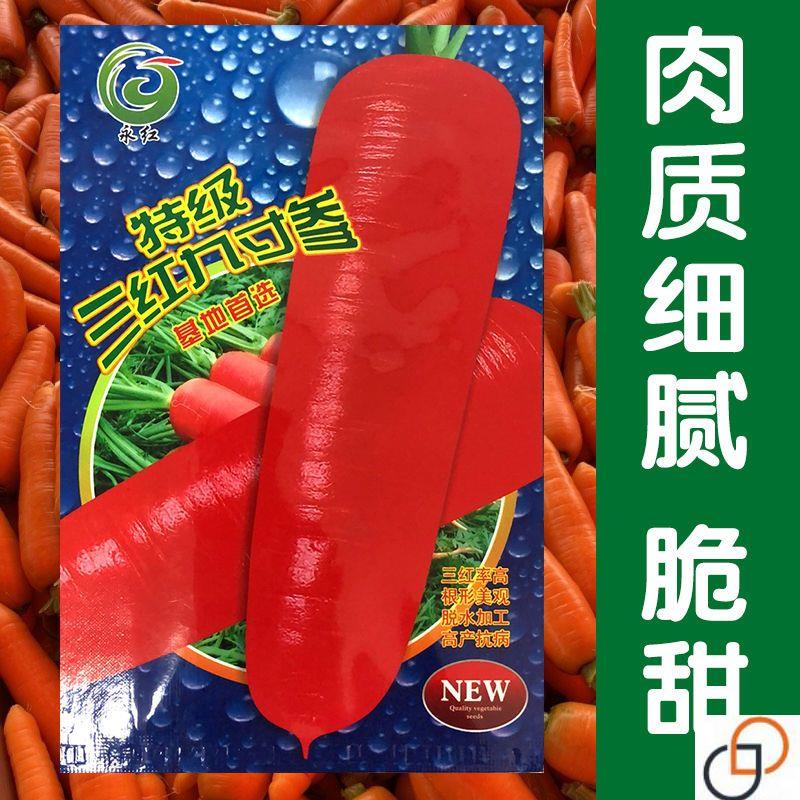 三红九寸参胡萝卜种子甜脆胡萝卜种子籽高产红萝卜籽大田蔬菜种子