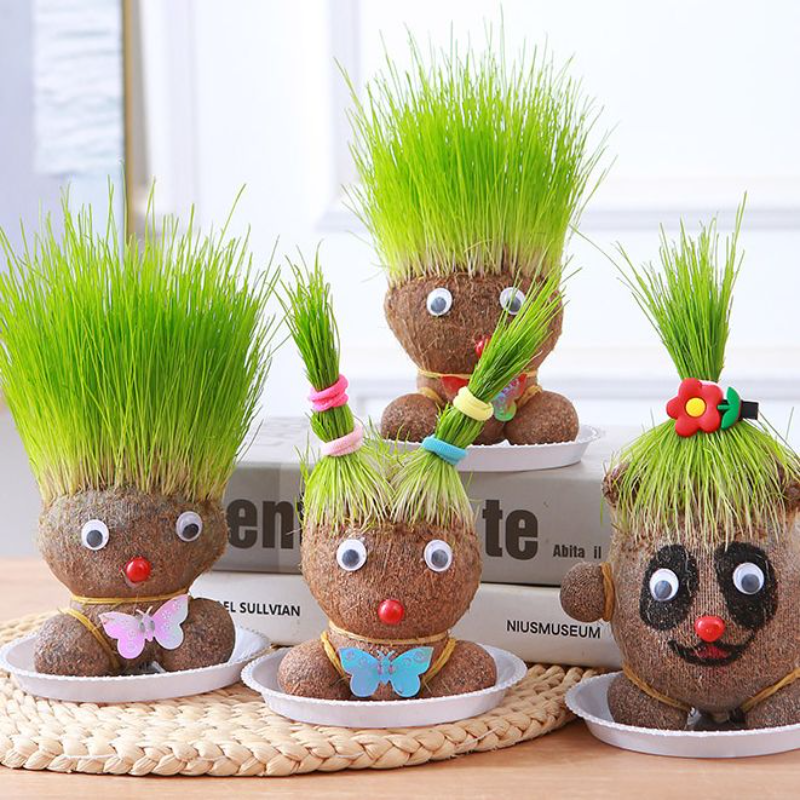 头上长草草头娃娃绿植桌面水培植物盆栽小摆件幼儿园装饰