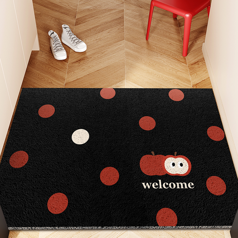 ins风丝圈耐脏入户地垫