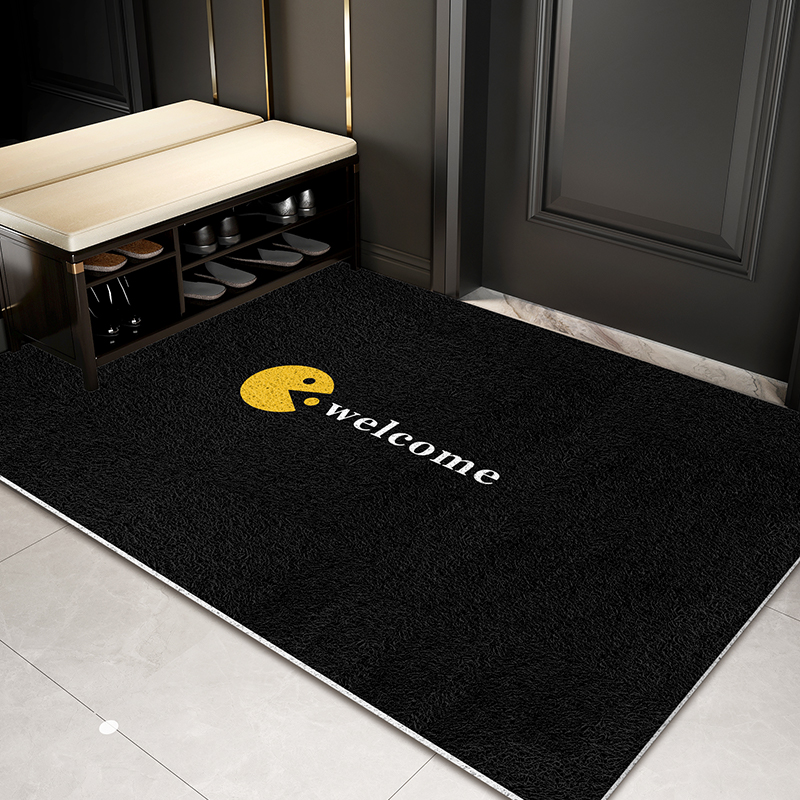 简约丝圈耐脏免洗入户地垫