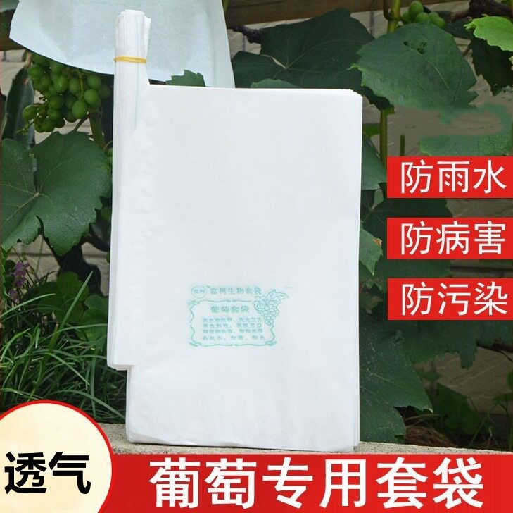 包套葡萄专用套袋加厚防虫保护袋的袋子果袋纸袋专用袋特大号露天