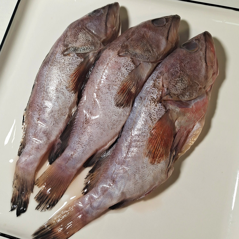 小石斑鱼3条腌制红石斑鱼烧烤店酒店餐厅商用半成品特色私房菜肴