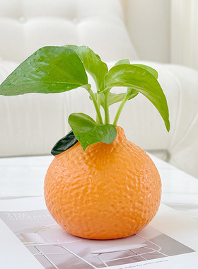 仿真橘子小花瓶摆件客厅插花水培植物鲜花绿萝高颜值桌面装饰摆件