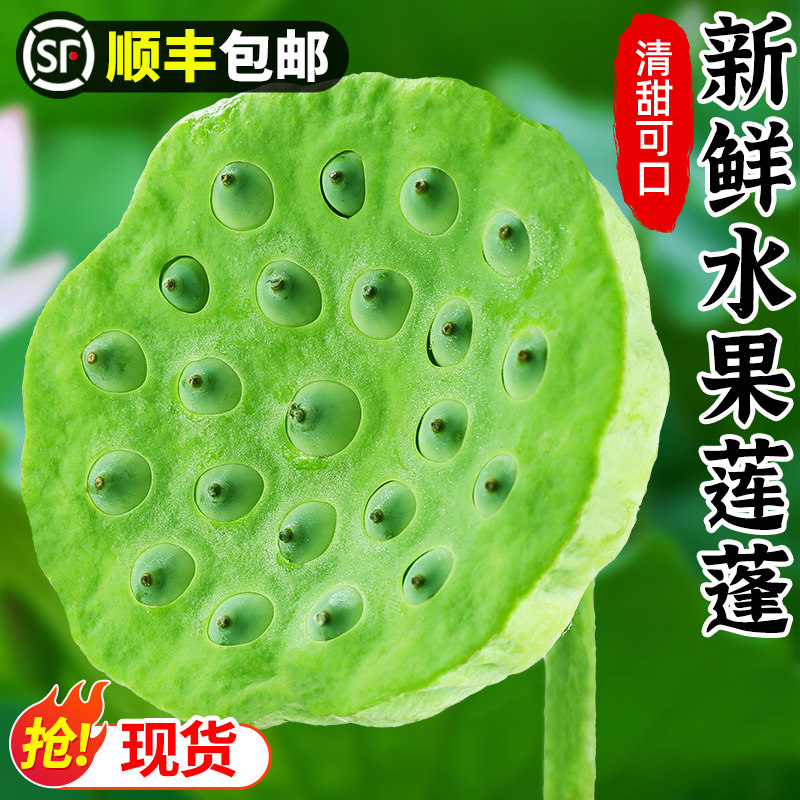 莲蓬新鲜现摘当季嫩莲子蓬顺丰包邮整箱批发时令蔬果水果太空莲蓬
