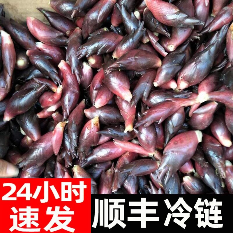 顺丰!云南高山洋荷姜新鲜现摘冷链运输阳荷嫩凉拌泡菜洋货洋河姜