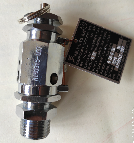 宁波甬安0.28MPa全启式安全阀YA28X6T/10山东新华立式灭菌器消毒