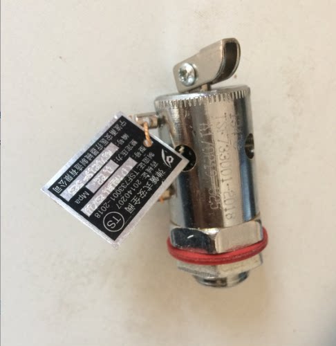 江阴滨江安全阀放气阀LS-35HG50HG 75HG100HG高压蒸汽灭菌器配件